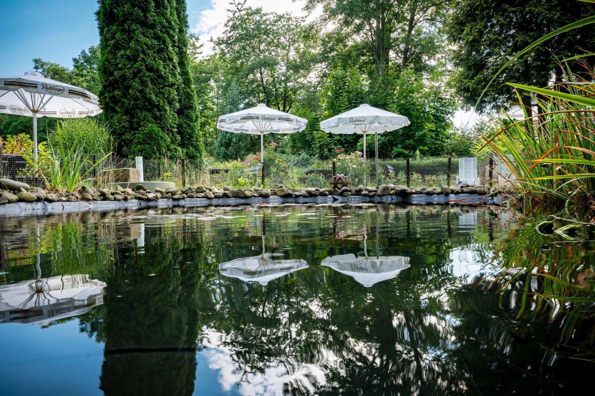 Hotel Zur Post Pirna Dış mekan fotoğraf